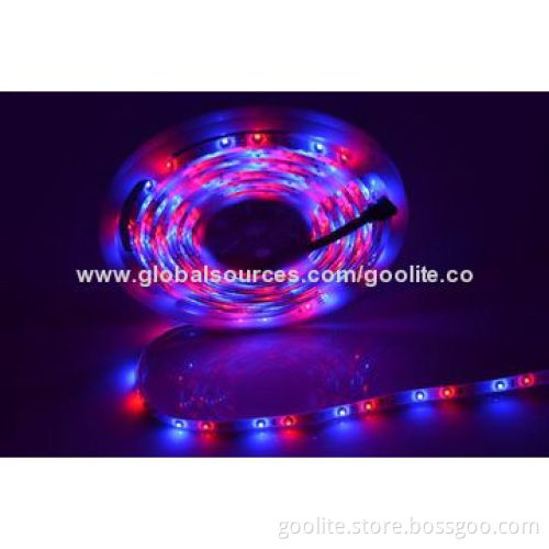 2014, Surprising Price, UCS1903, RGB/30 LEDs, Magic Strip Light, CE & RoHS Approved